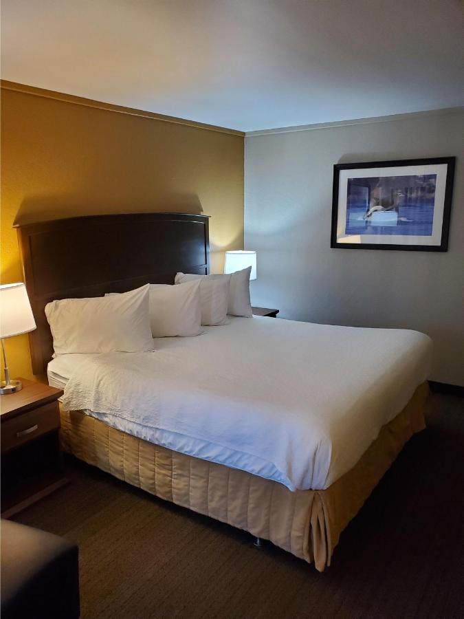 Best Western The Westerly Hotel Courtenay Exterior photo